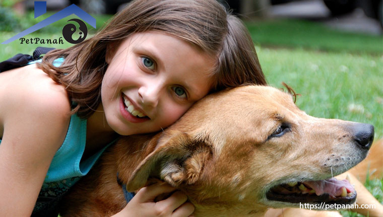 سرپرستی سگ ها